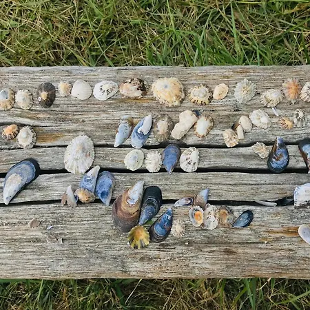 Apartman Atico Nuevo En Playa De *