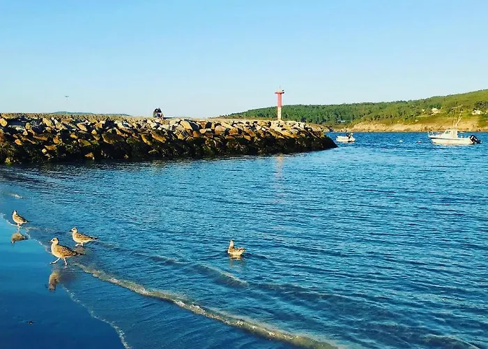 Atico Nuevo En Playa De *