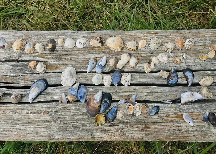 Appartement Atico Nuevo En Playa De *