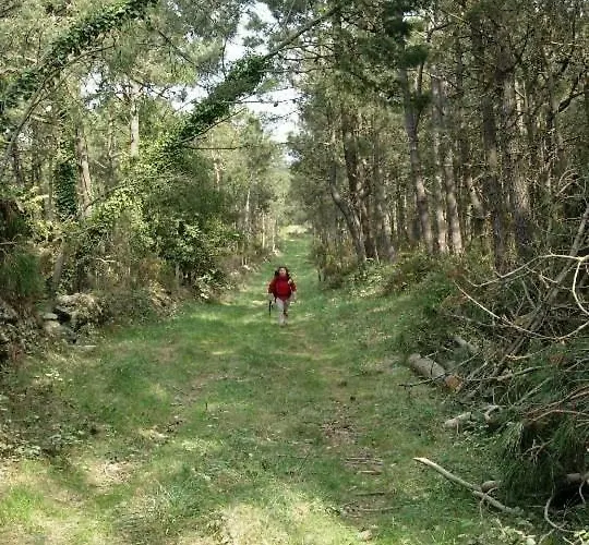 Apartamento ático Nuevo En Playa De Laxe